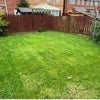 Photo 5: Garden Area