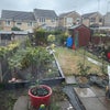 Photo 8: Garden 