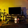 Photo 3: Shared living space