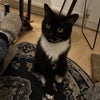 Photo 4: Calypso