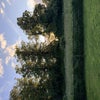 Photo 7: Garden