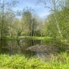 Photo 8: The lake