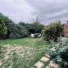 Photo 13: Garden - not at it's best after this summer drought