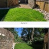Photo 6: Garden with shed 
