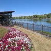 Photo 5: The Lake Close By