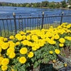 Photo 2: The Lake