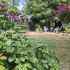 Photo 8: The Garden
