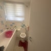 Photo 5: Rest room