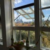 Photo 4: Kitchen view! 