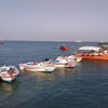 Photograph of Kafi 