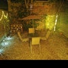 Photo 4: Garden