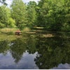 Photo 5: Lovely area 