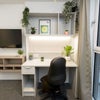 Photo 2: Softest carpet for comfort living