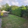 Photo 3: Garden