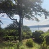 Photo 3: Garden