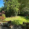 Photo 7: Garden