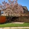 Photo 7: Garden view from patio