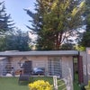 Photo 3: Back garden area