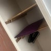 Photo 8: Extra inbuilt wardrobe in the room