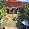 Photo 6: garden