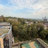Photo 9: View into Lewisham from balcony