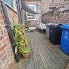 Photo 9: Backyard