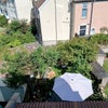 Photo 5: Back garden