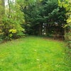 Photo 9: Private Garden