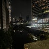 Photograph of Nexis