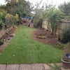 Photo 8: The Garden 