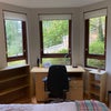Photo 3: bedroom