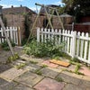 Photo 6: Garden