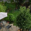 Photo 8: Garden