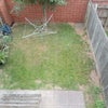 Photo 13: Garden