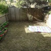 Photo 8: Garden