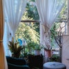 Photo 2: View of living room