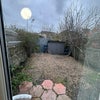 Photo 7: Garden