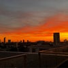 Photo 7: Sunset from private terrace