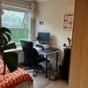 Photo 3: Spare Bedroom / Office