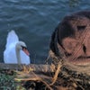 Fer\'s picture