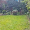 Photo 7: backgarden