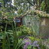 Photo 8: Back garden