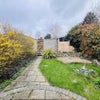 Photo 6: Garden 
