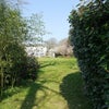 Photo 8: Gardens