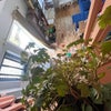 Photo 4: High pitched cieling - light and airy