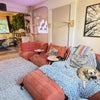 Photo 5: The open lounge to dining/work area, and my dog Maya.  Plus see if you can spot a cat!