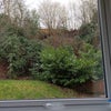 Photo 9: view of the back garden