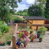 Photo 7: Garden