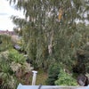 Photo 9: Lovely garden view from bedroom window