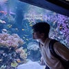 Photo 2: Fishhh